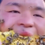 蜂つきのハチミツを食べる少年