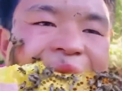 蜂つきのハチミツを食べる少年