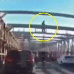 ブルックリン橋から飛び降りる男性