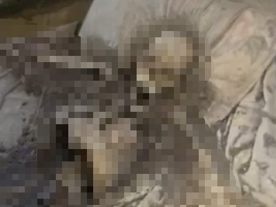 白骨化した状態で発見された男性の遺体（ナイジェリア）