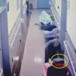 病院で寝込みを襲い頭をかち割るサイコパスが出現（中国）