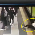 少年が電車の下に突き落とされる映像