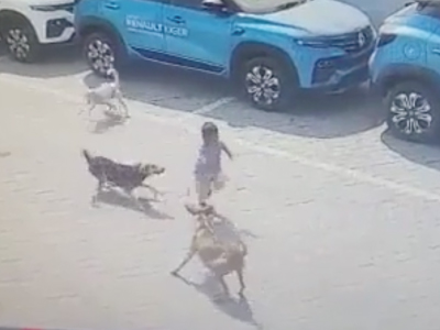4歳の男の子が野良犬に噛み殺される映像