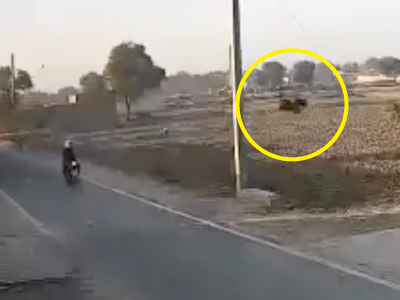 バイクに衝突する鳥（パキスタン）