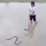 ヘビと対峙する女性