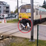踏切を横断しようとしたバイクが列車に轢かれそうになる事故（ベルギー）