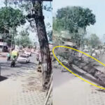 交通量の多い道路に巨大な木が倒れる事故（インド）