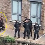 ロンドン警察、散弾銃で犬２匹を射殺（イギリス）