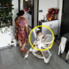 ベビーチェアに座る赤ちゃん（中国）