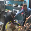 レストランでコックとして働いていた男が従業員の女性を残酷に殴る（ロシア）