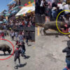 メキシコの闘牛祭で負傷者が20人（メキシコ）