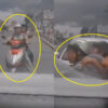 警察に追跡されていた飲酒運転の男が、バイクの乗客2人に追突（メキシコ）