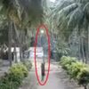 金属棒を持って歩く男性が感電死（インド）