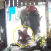 ゾウが暴れまわり食料品店を襲撃する事故（タイ）